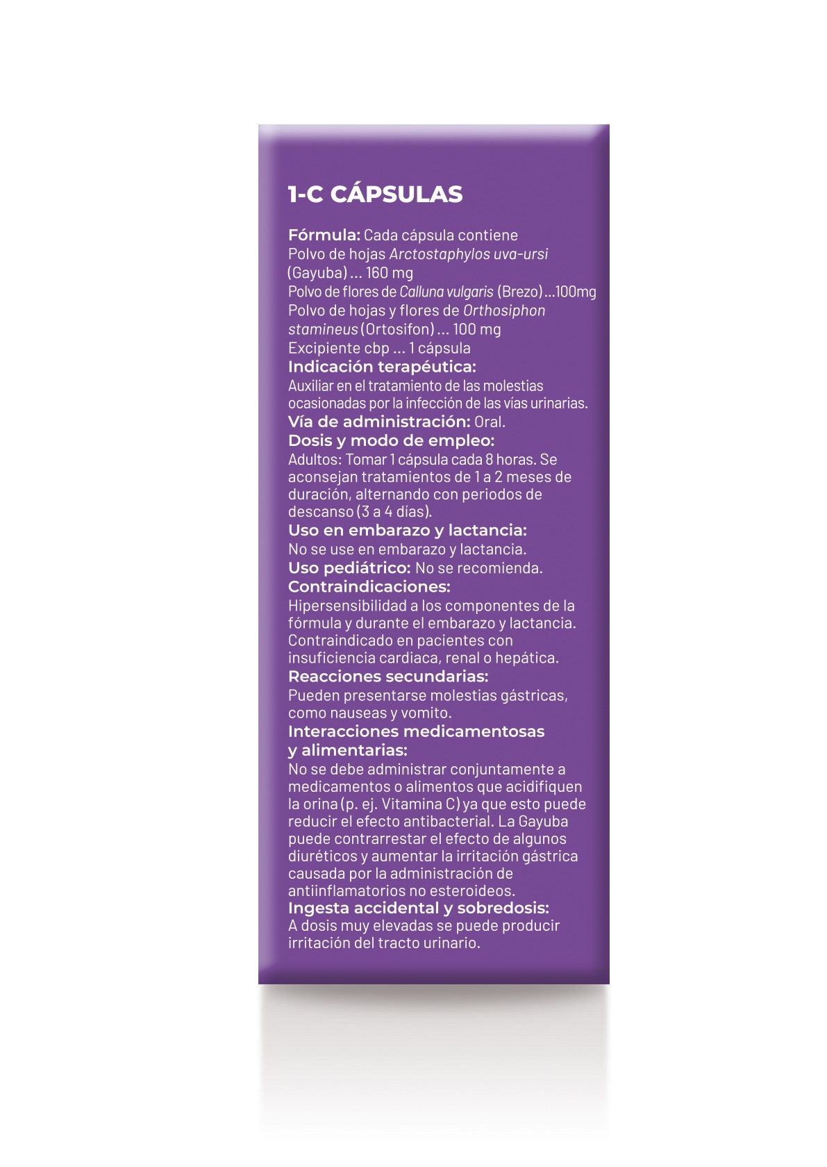 1-C - Imagen 4