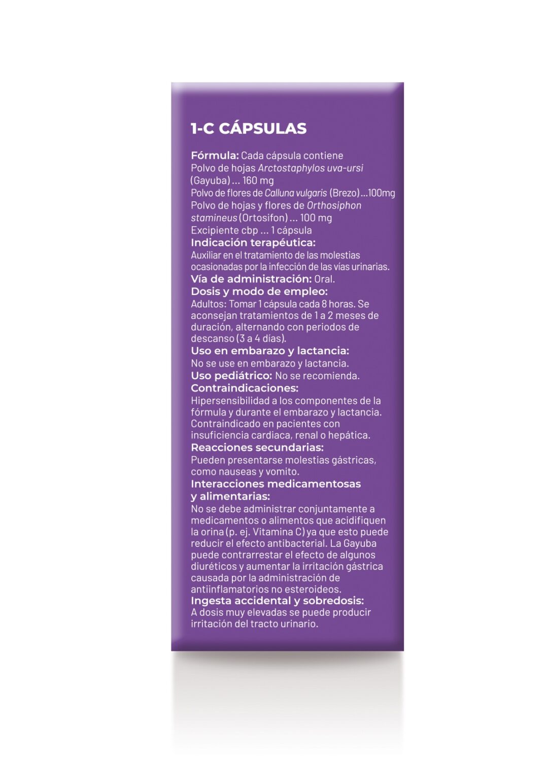 1-C - Imagen 4