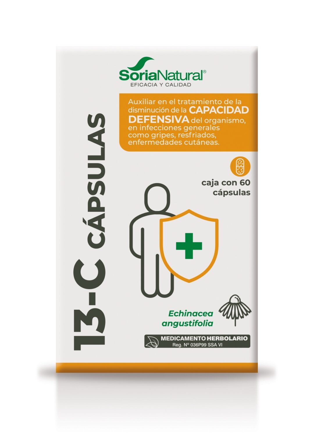 13-C - Equinácea