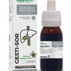 Gesti-sor