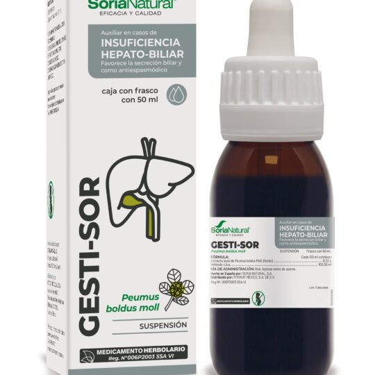 Gesti-sor