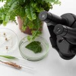 Categorías de productos naturales de SORIA NATURAL México 