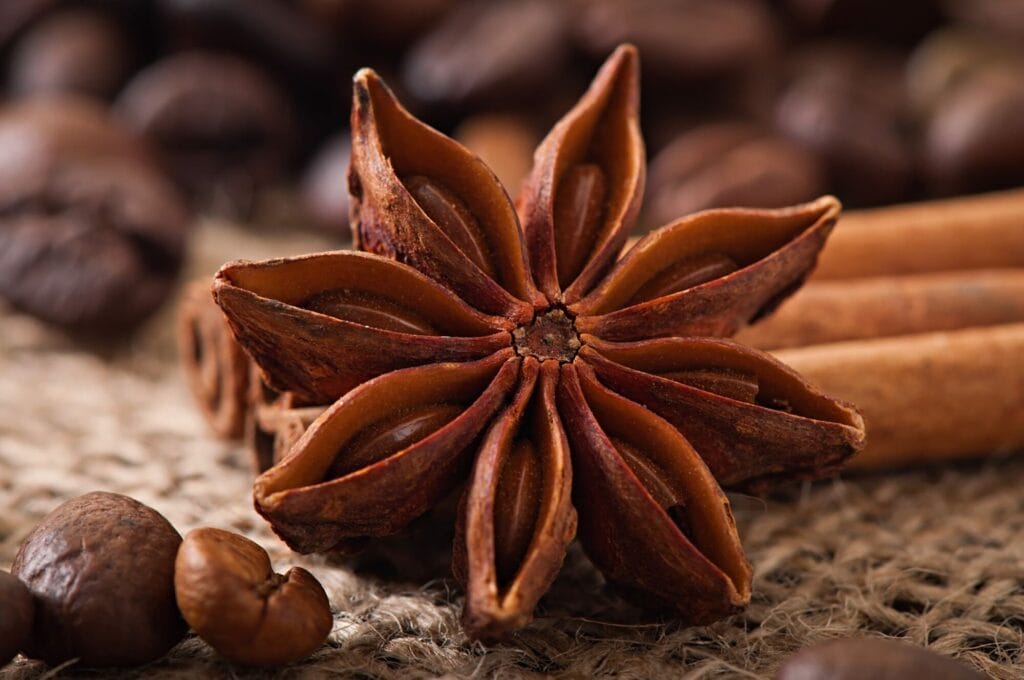 Medicamentos herbolarios para mantener una buena digestión con plantas medicinales