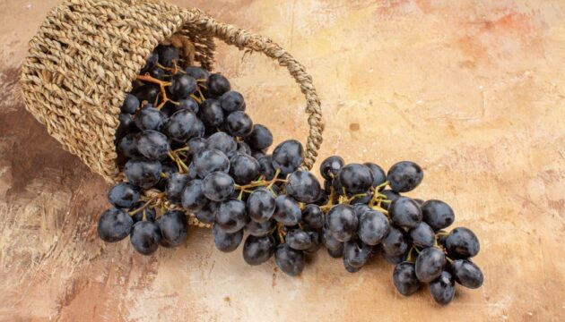 ¿Resveratrol para que sirve? el resveratrol