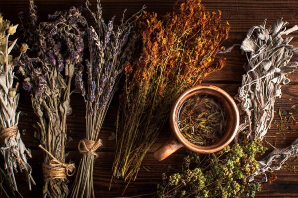 Soria Natural - Medicina natural - Medicamentos Herbolarios