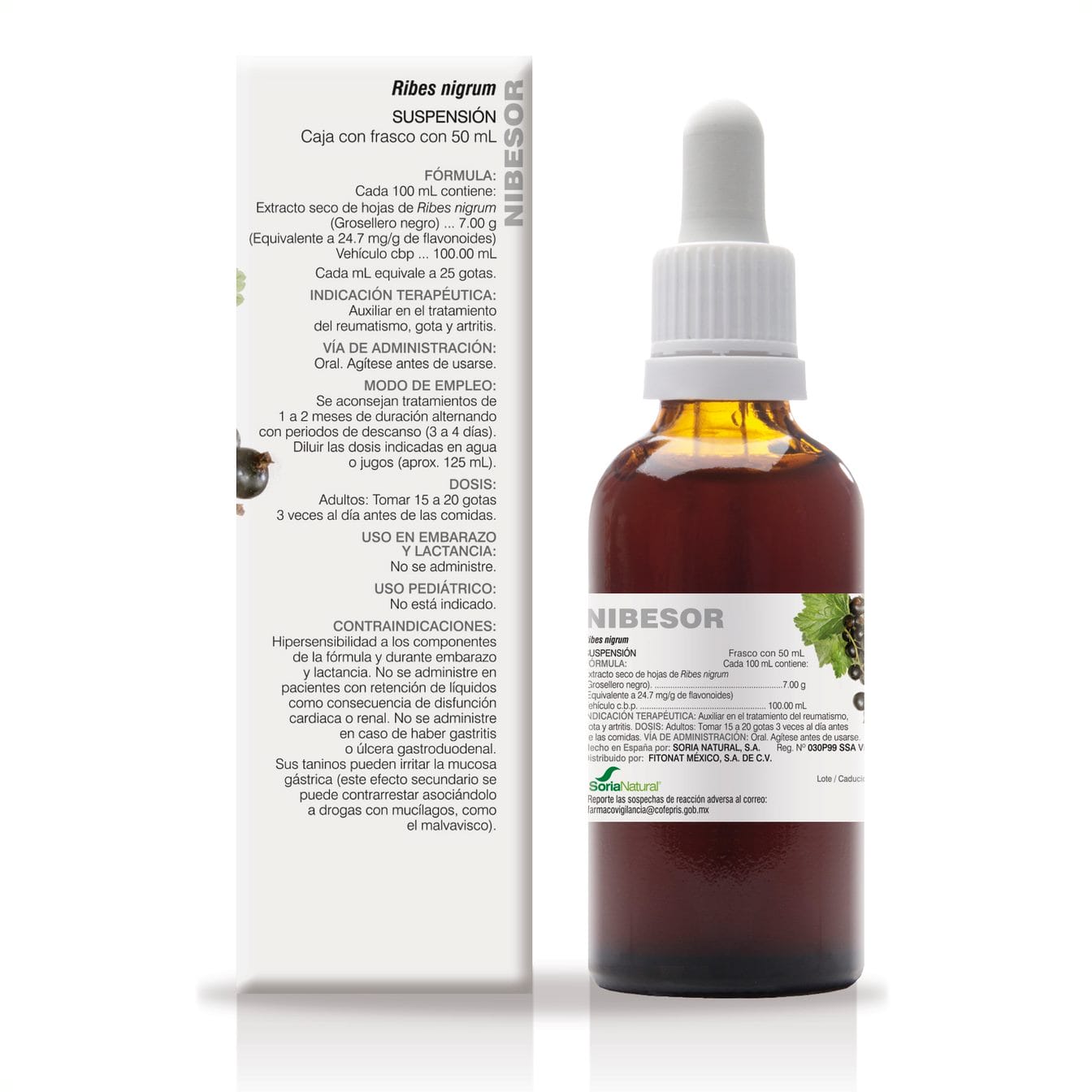 medicamento herbolario reumatismo gota artritis