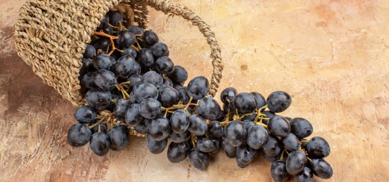 Soria Natural - Medicina natural - Medicamentos Herbolarios